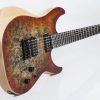 Schecter - Reaper-6 (Satin Inferno Burst)