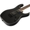 Ibanez - RG421EX (Black Flat)