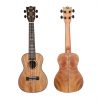 Flight - DUC450 Mango Concert Ukulele