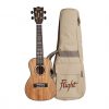 Flight - DUC450 Mango Concert Ukulele