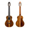 Flight - Spirit EQ Concert Ukulele