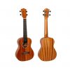 Flight - Antonia CE Concert Electro-Acoustic ukulele