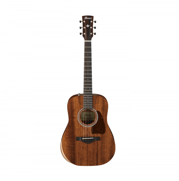 Ibanez - AW54JR (Open Pore Natural)