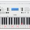 Yamaha - EZ-300