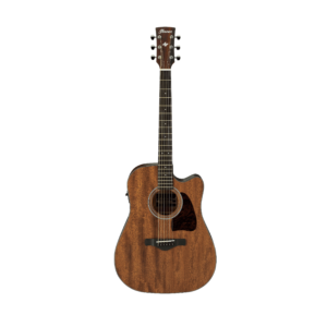 Ibanez - AW54CE (Open Pore Natural)
