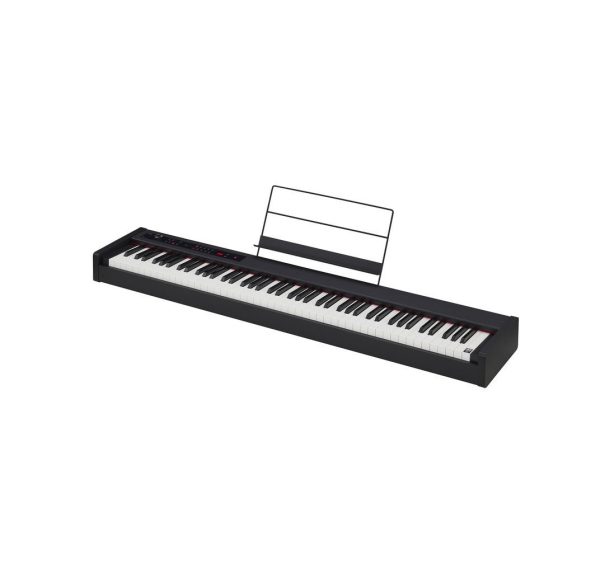 Korg - D1