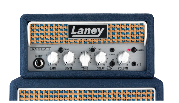 Laney - Ministack-Lion