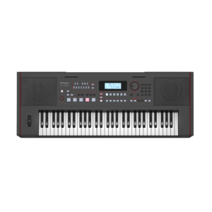 Roland - E-X50 Arranger Keyboard