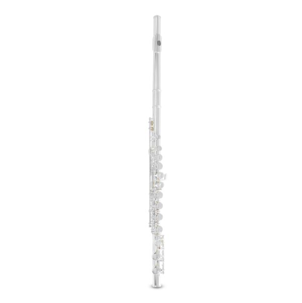 Armstrong - FL650E Flute (701.111)