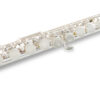Armstrong - FL650E Flute (701.111)